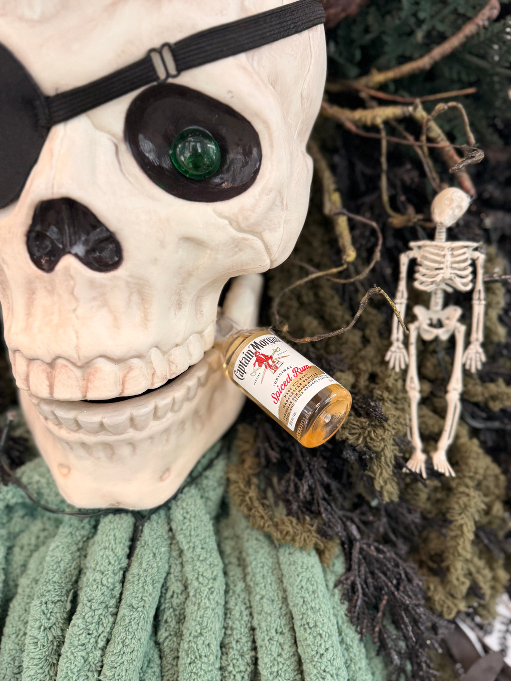 It’s A Pirate’s Life For Me